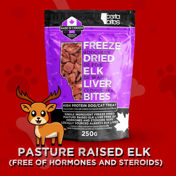 Treats - BERTA Bites (Freeze Dried) - Elk Liver Bites