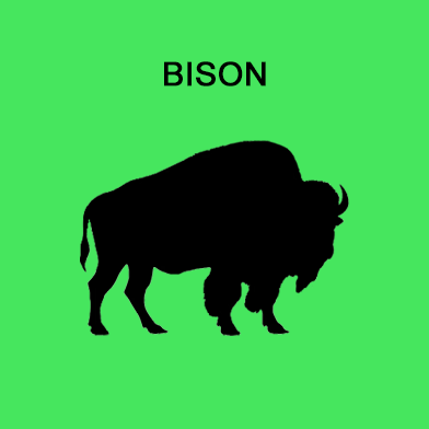 Single Protein 90/10 - Bison 90/10