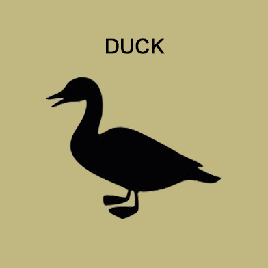 Single Protein 80/10/10 - Duck, Option 1 of 2