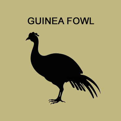 Single Protein 80/10/10 - Guinea Fowl