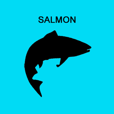 Single Protein 70/30 - Salmon Trim w/Bone/Fruits/Veggies, Option 1 of 2