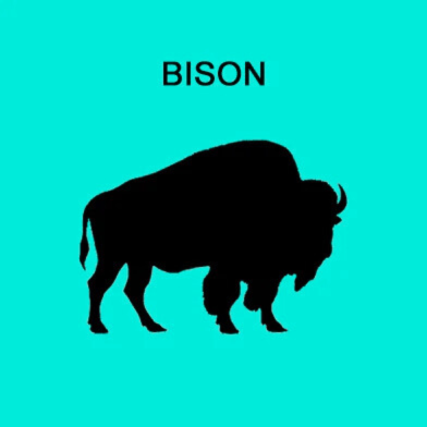 Single Protein 90/10- Bison - By Alberta Bison Ranch
