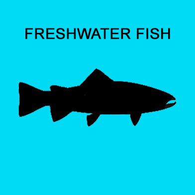 Ground Meat w/approx. 20% Bone - Freshwater Fish