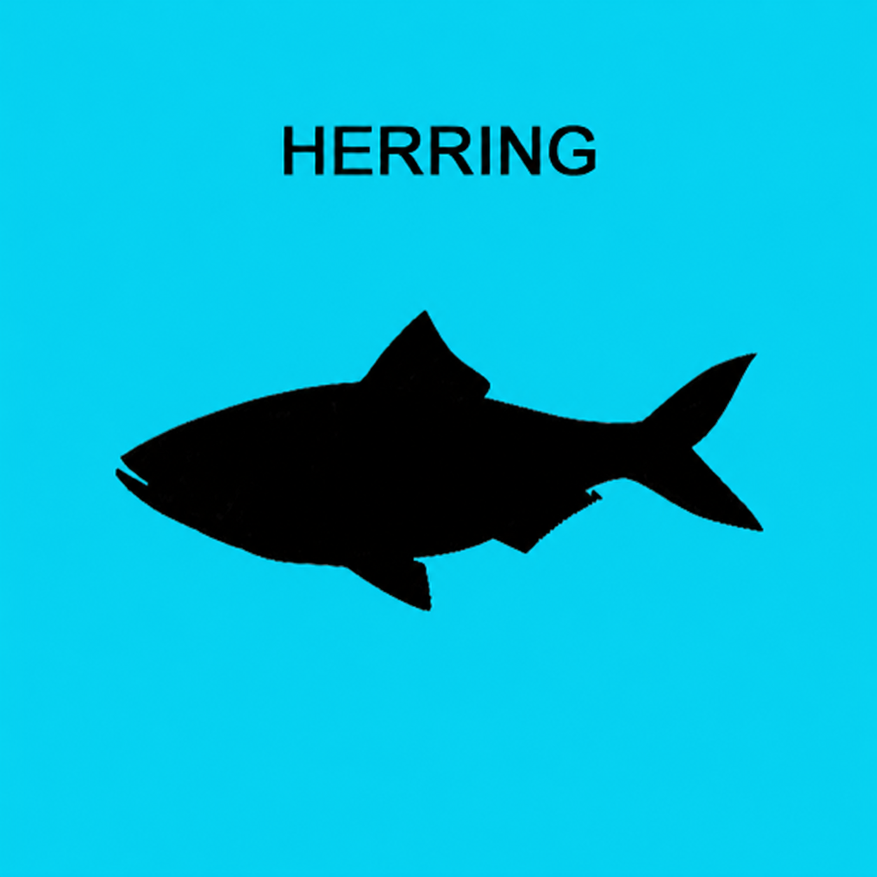 Ground Meat w/approx. 20% Bone - Herring