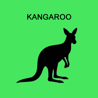 Ground Meat w/approx. 20% Bone - Kangaroo