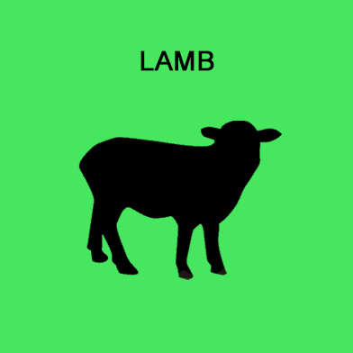 Ground Meat w/approx. 20% Bone - Lamb/Sheep