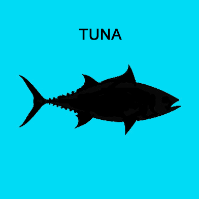 Ground Meat w/approx. 20% Bone - Tuna